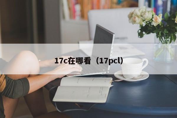 17c在哪看（17pcl）