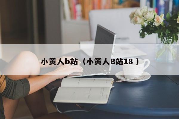 小黄人b站（小黄人B站18 ）